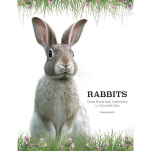 Amber Books Ltd Rabbits (inbunden, eng)