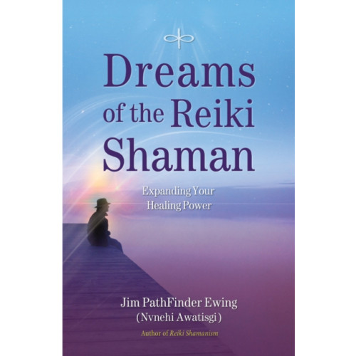 Findhorn Press Ltd Dreams of the Reiki Shaman (häftad, eng)