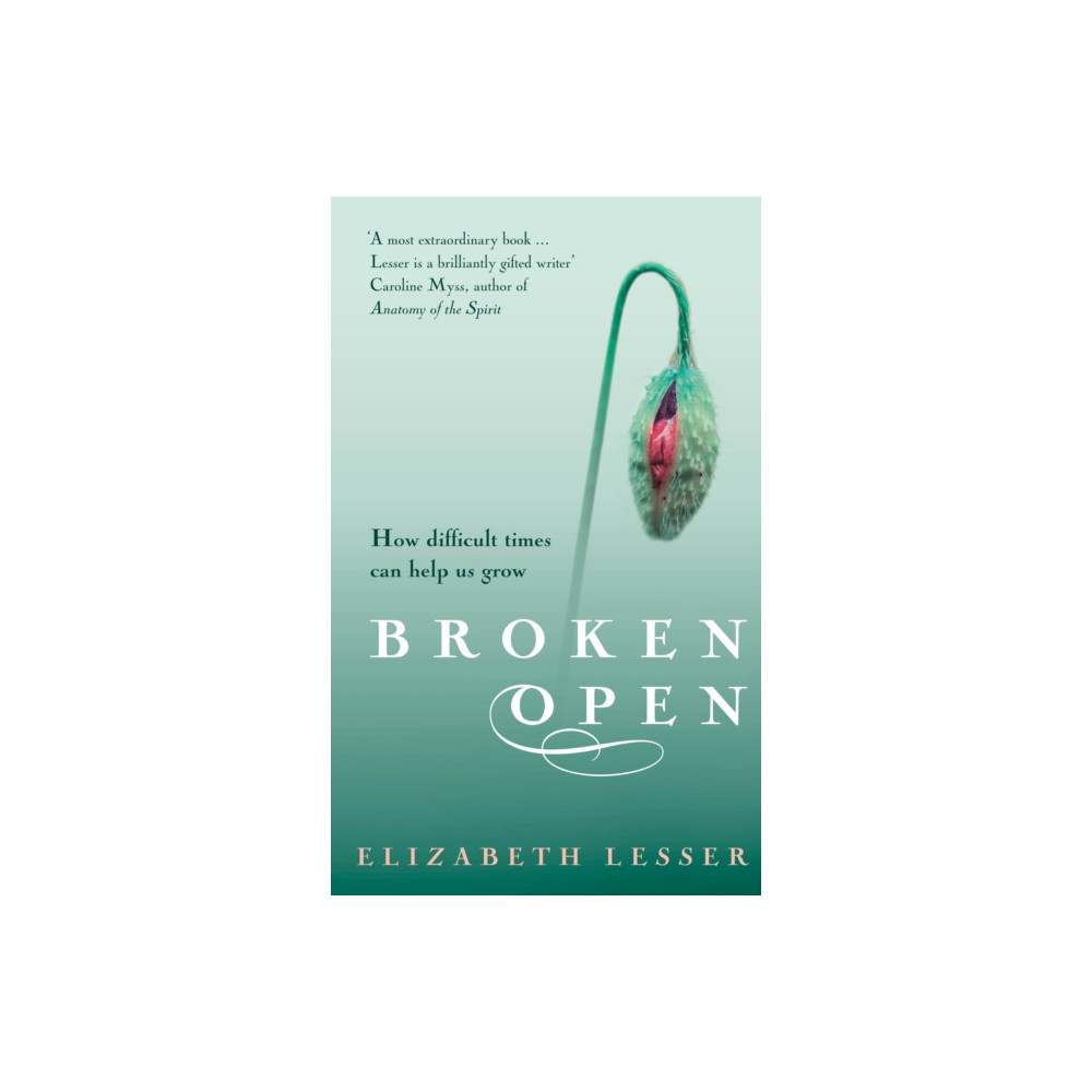 Produktbild för Broken Open (häftad, eng)