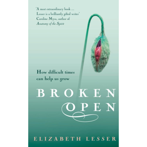 Vintage Publishing Broken Open (häftad, eng)