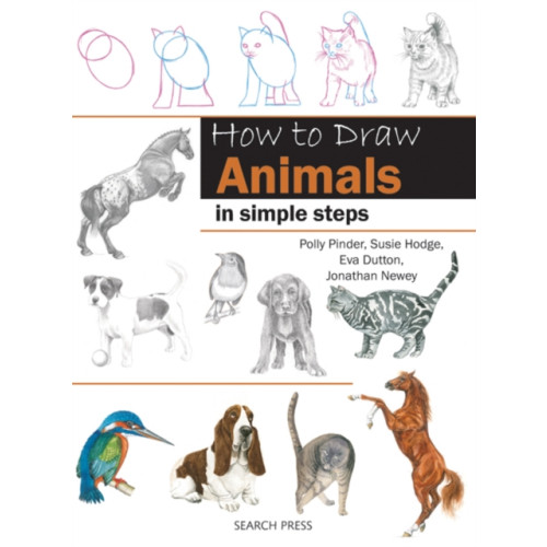 Search Press Ltd How to Draw: Animals (häftad, eng)