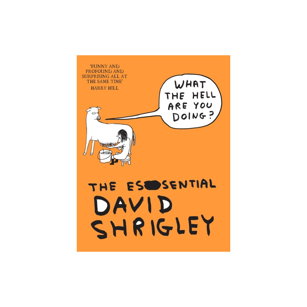 Produktbild för What The Hell Are You Doing?: The Essential David Shrigley (häftad, eng)
