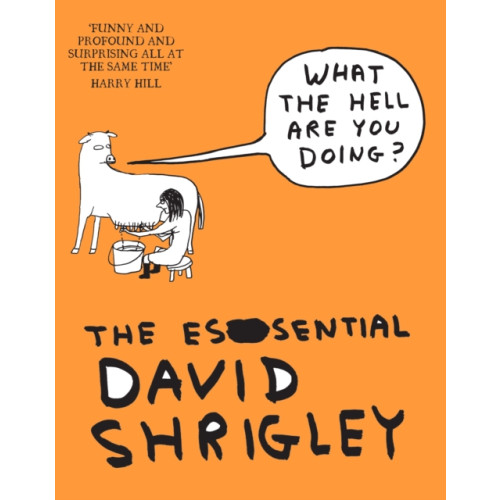 Canongate Books What The Hell Are You Doing?: The Essential David Shrigley (häftad, eng)