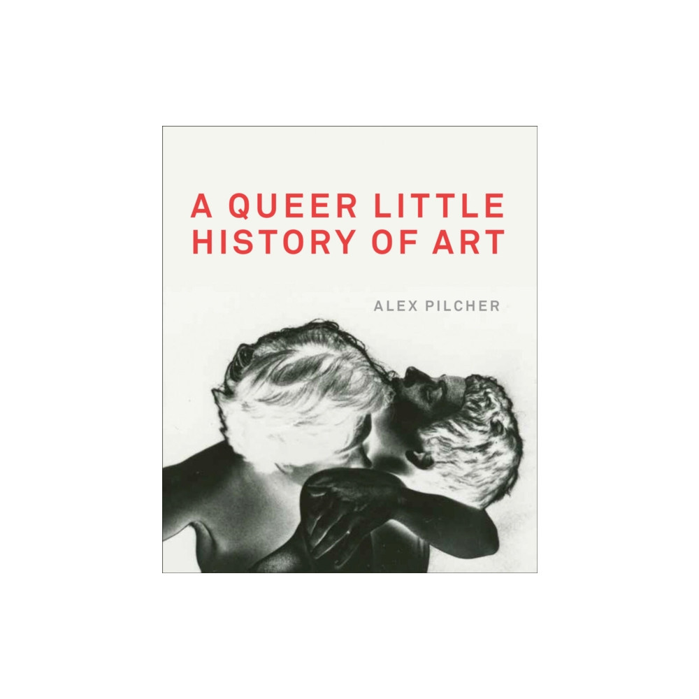 Produktbild för A Queer Little History of Art (häftad, eng)