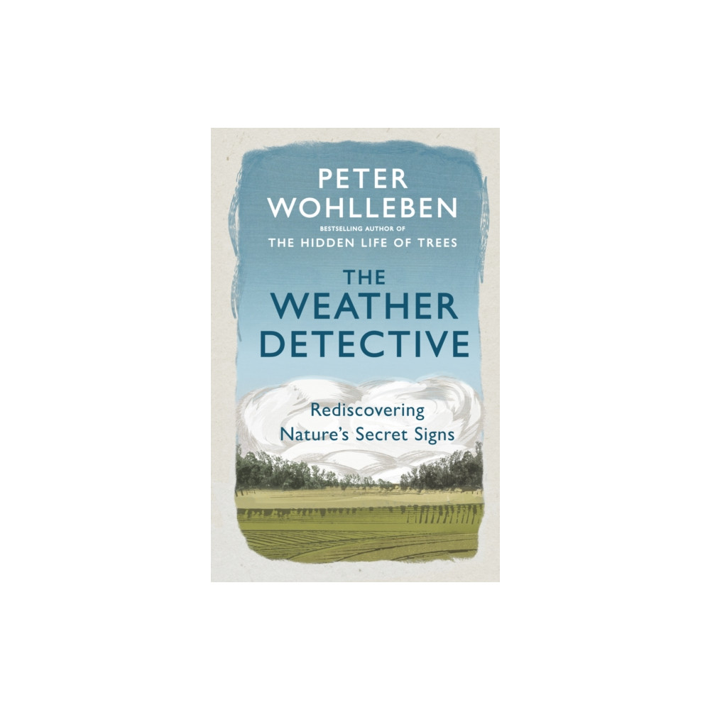 Produktbild för The Weather Detective (häftad, eng)