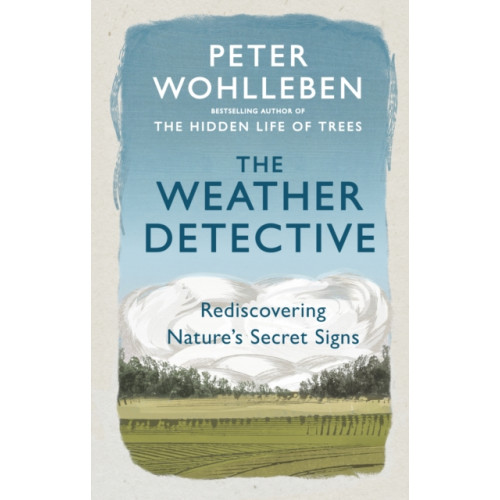 Ebury Publishing The Weather Detective (häftad, eng)