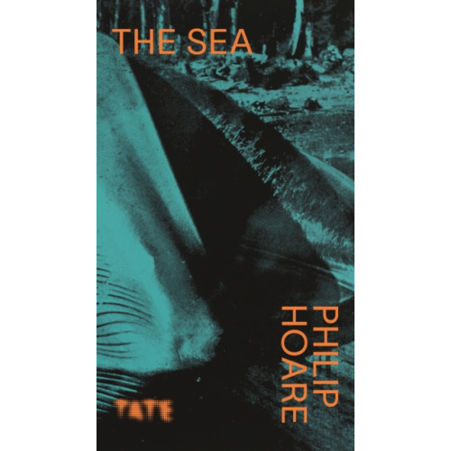 Tate Publishing Look Again: The Sea (häftad, eng)