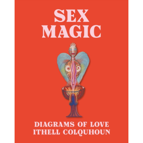 Tate Publishing Sex Magic (inbunden, eng)