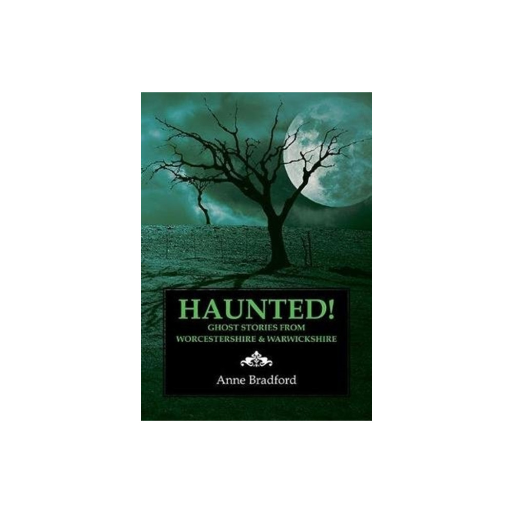 Produktbild för Haunted! (häftad, eng)