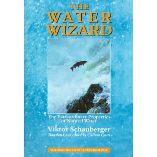 Gill The Water Wizard (häftad, eng)