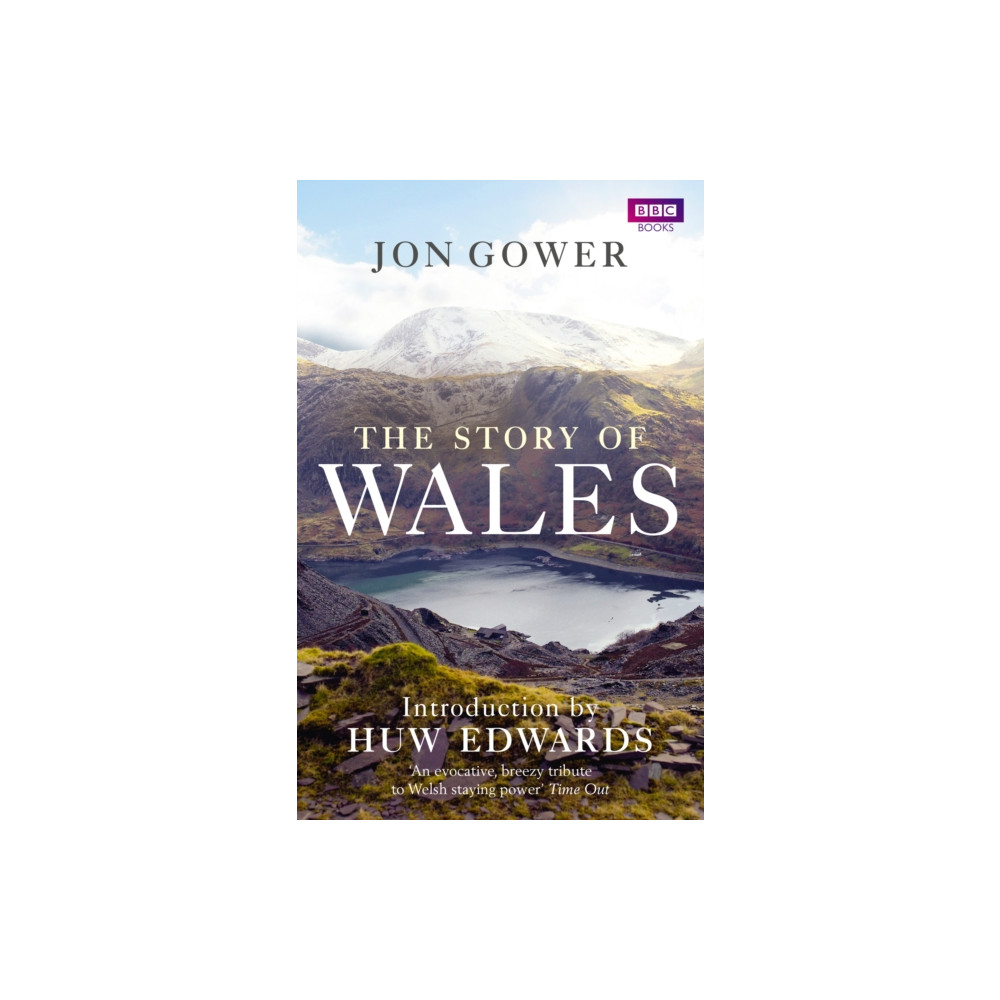 Produktbild för The Story of Wales (häftad, eng)