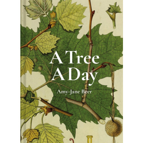 Batsford Ltd A Tree A Day (inbunden, eng)