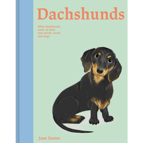 Batsford Ltd Dachshunds (inbunden, eng)