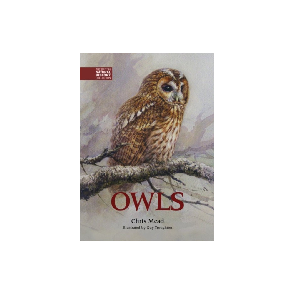 Produktbild för Owls (inbunden, eng)