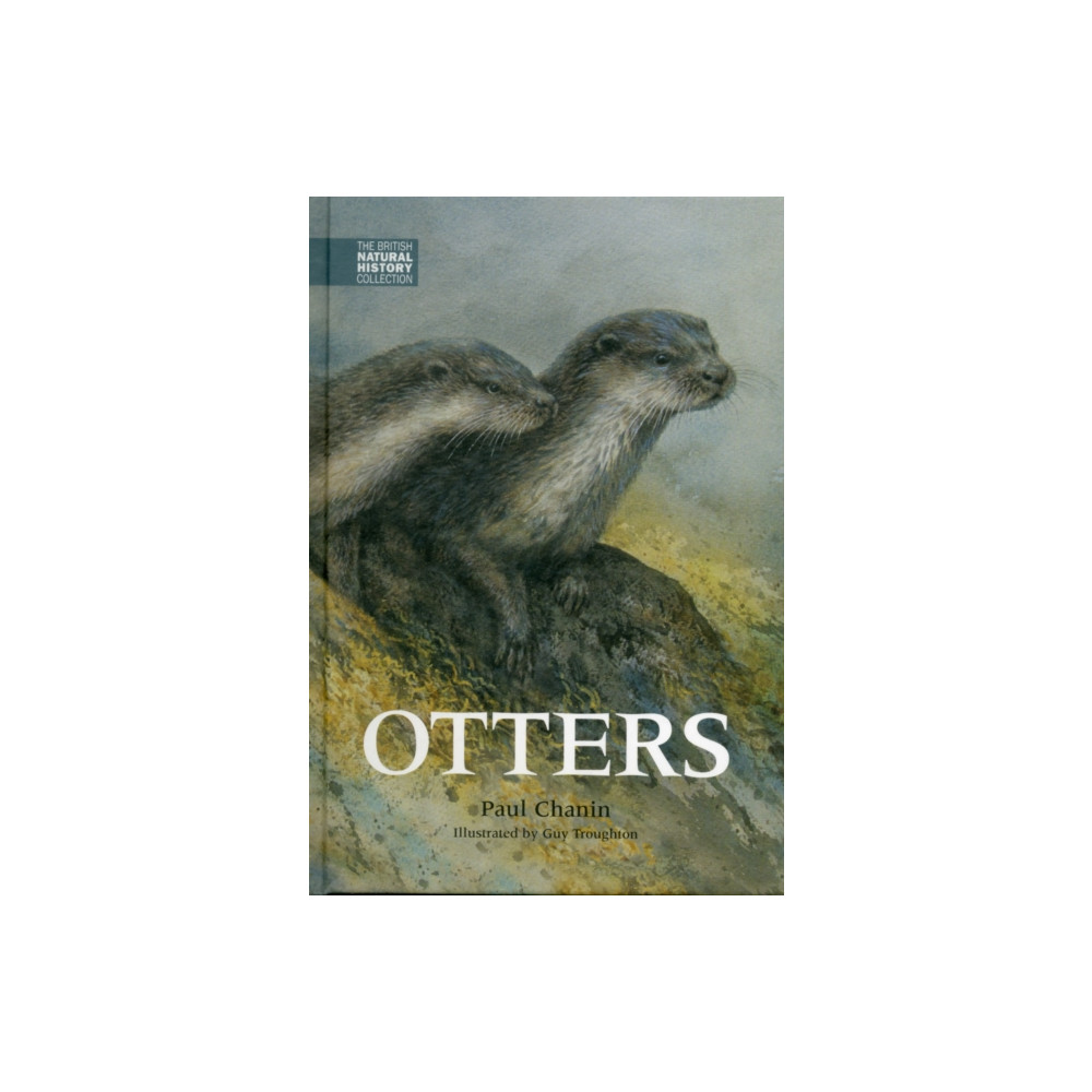 Produktbild för Otters (inbunden, eng)