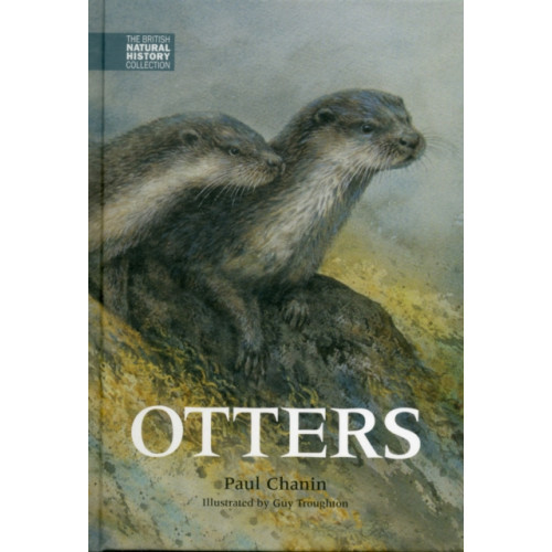 Whittet Books Ltd Otters (inbunden, eng)