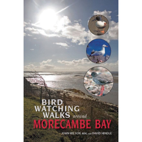 Carnegie Publishing Ltd Birdwatching Walks Around Morecambe Bay (häftad, eng)