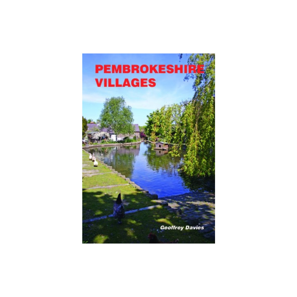 Produktbild för Pembrokeshire Villages (häftad, eng)