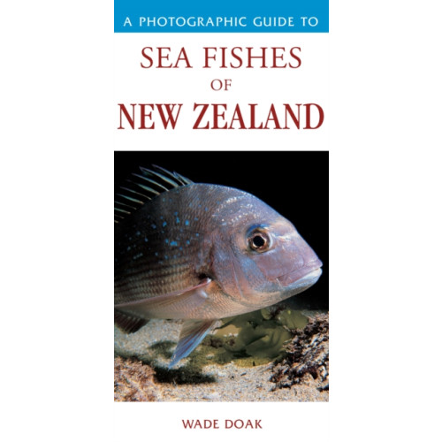 Upstart Press Ltd Photographic Guide To Sea Fishes Of New Zealand (häftad, eng)