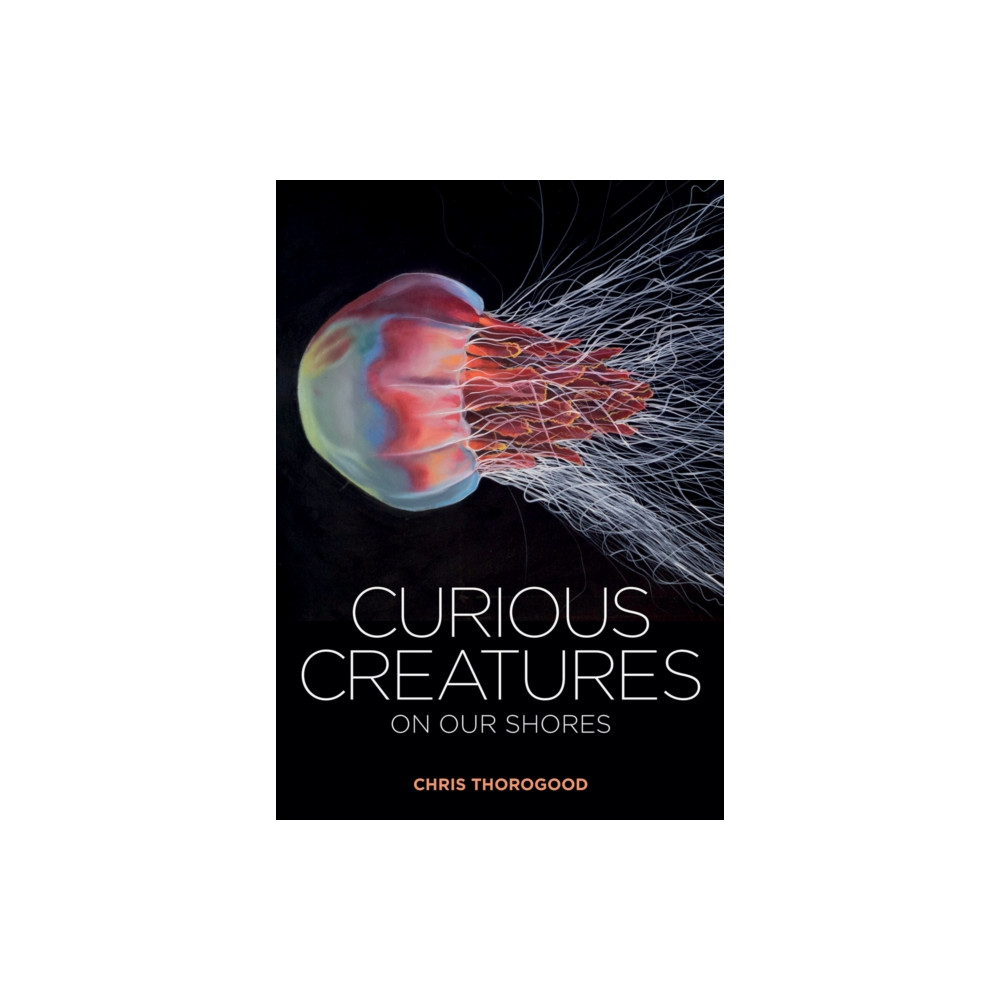 Produktbild för Curious Creatures on our Shores (inbunden, eng)