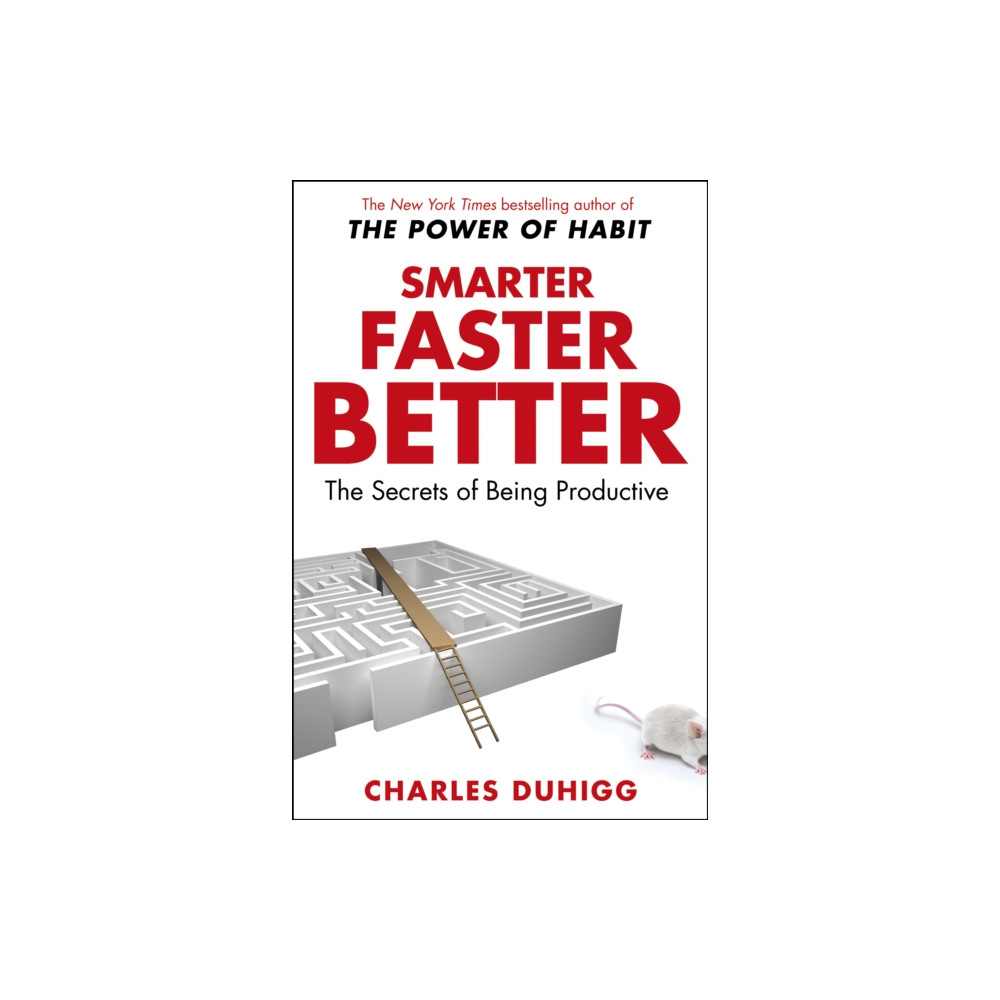 Produktbild för Smarter Faster Better (häftad, eng)