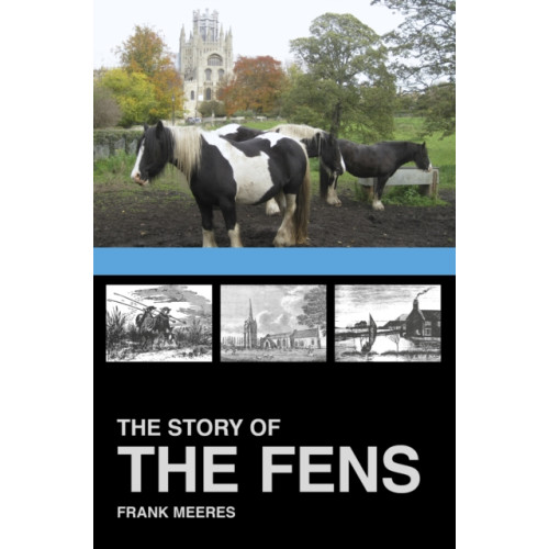 The History Press Ltd The Story of the Fens (häftad, eng)