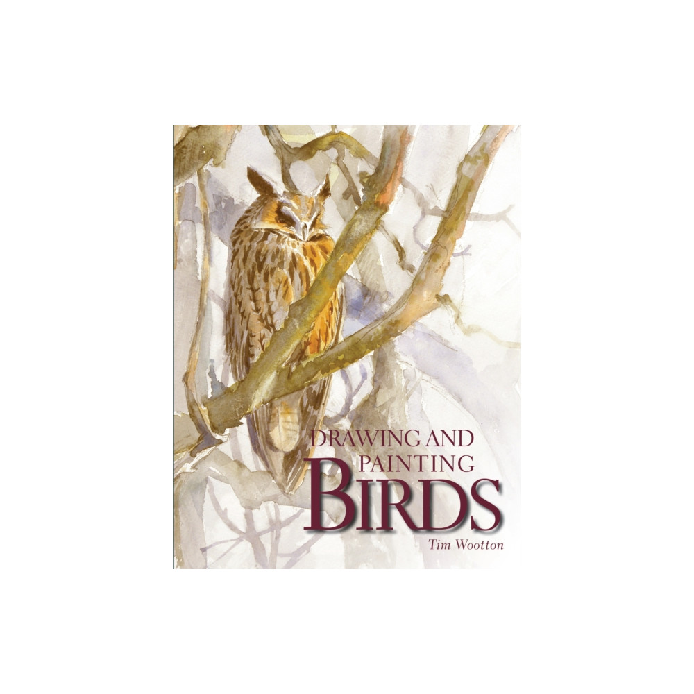 Produktbild för Drawing and Painting Birds (häftad, eng)