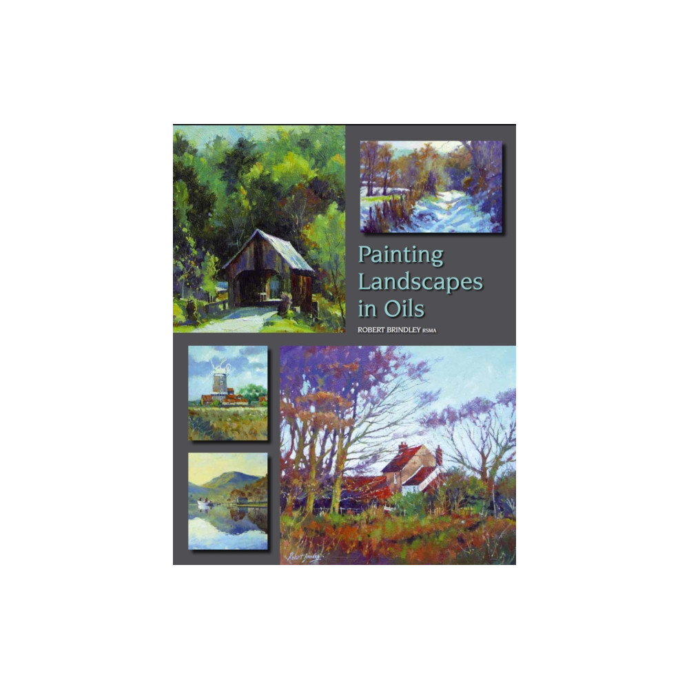 Produktbild för Painting Landscapes in Oils (häftad, eng)