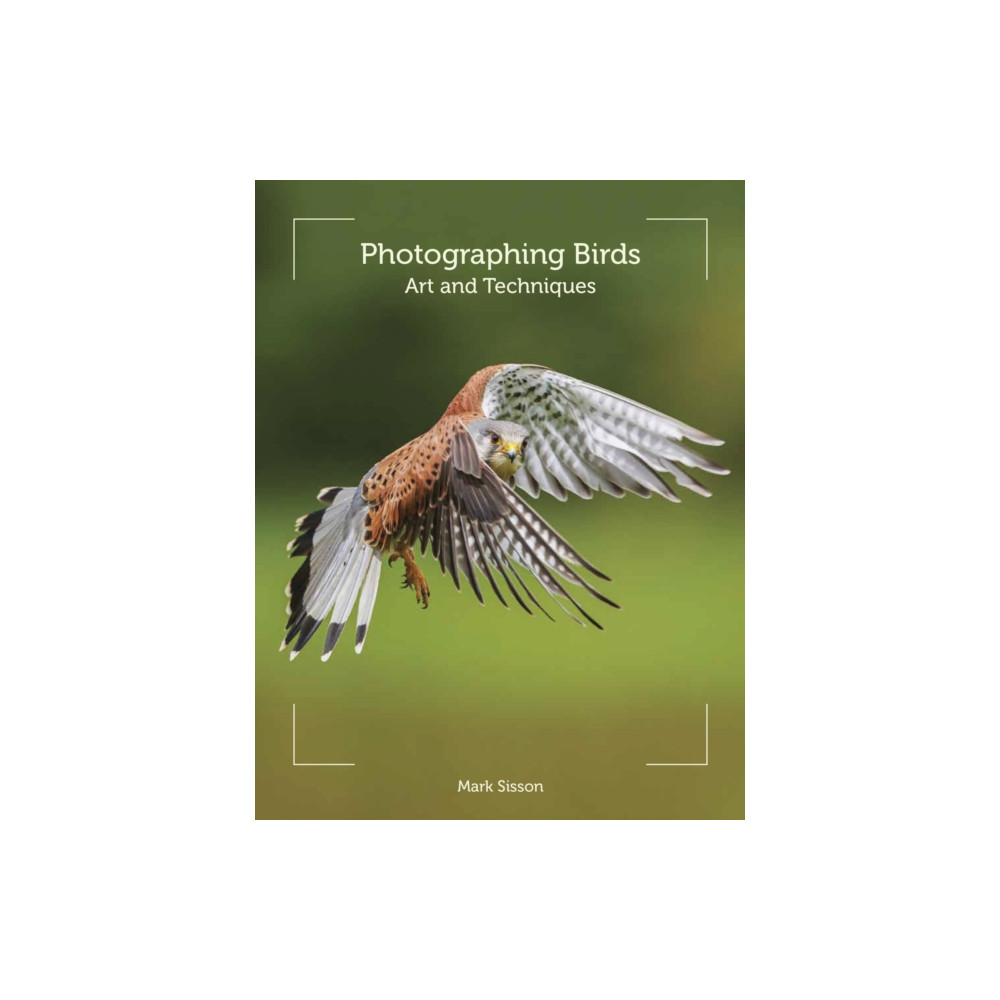 Produktbild för Photographing Birds (häftad, eng)