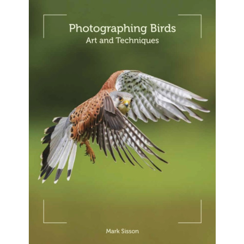 The Crowood Press Ltd Photographing Birds (häftad, eng)