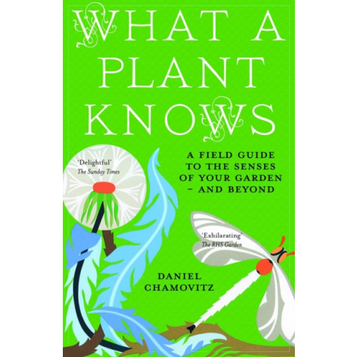 Oneworld Publications What a Plant Knows (häftad, eng)