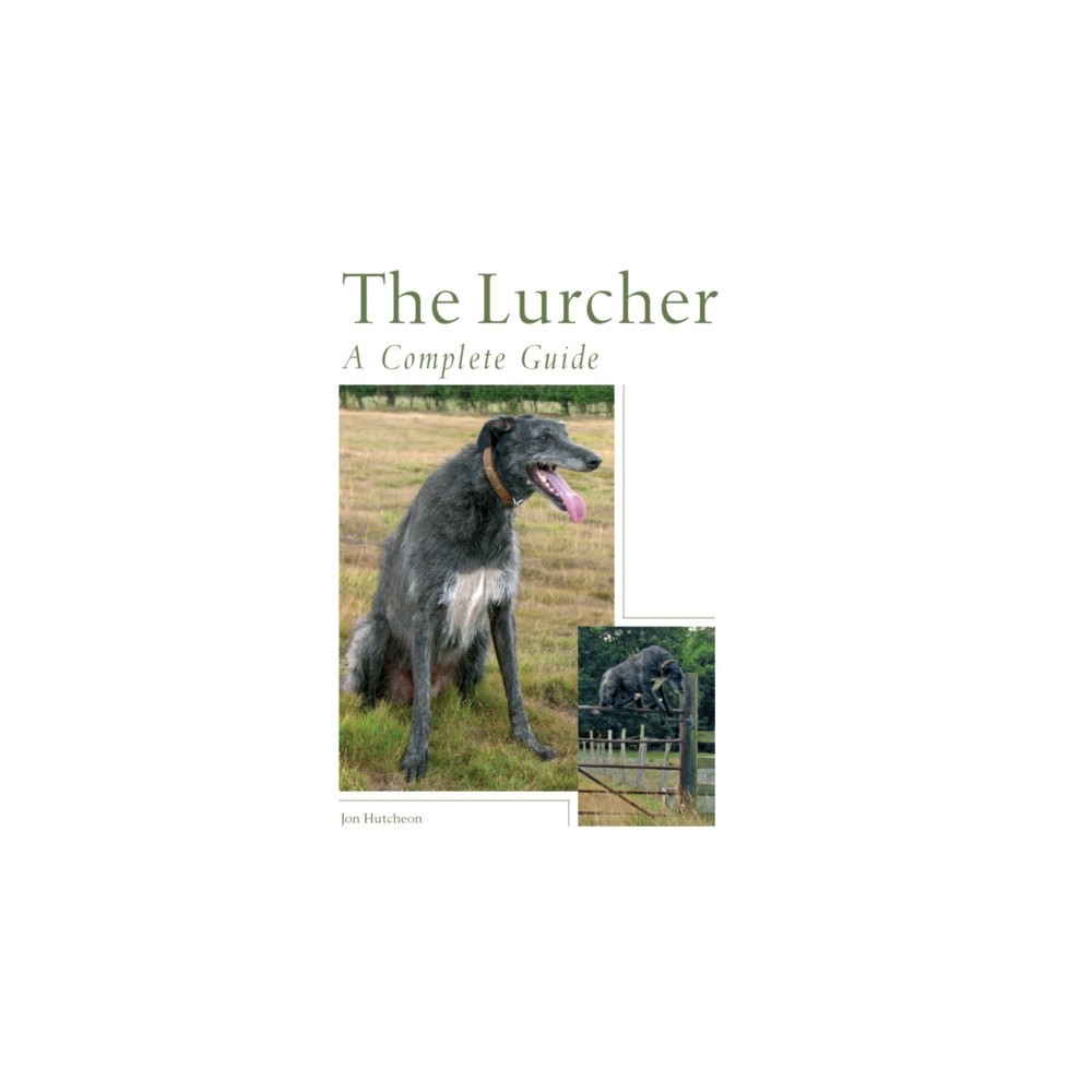 Produktbild för The Lurcher (inbunden, eng)
