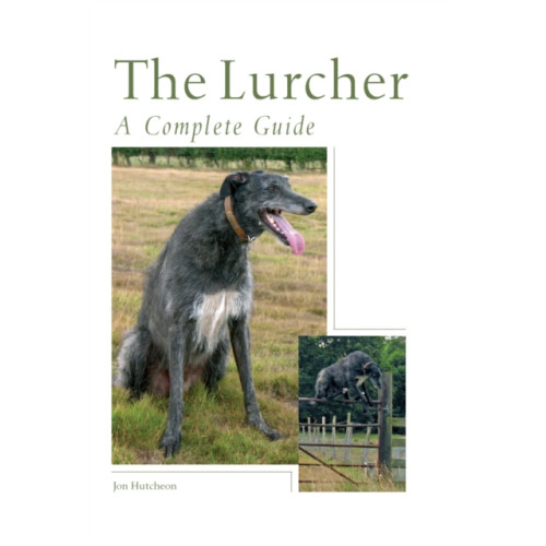 The Crowood Press Ltd The Lurcher (inbunden, eng)
