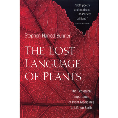 Chelsea Green Publishing Co The Lost Language of Plants (häftad, eng)