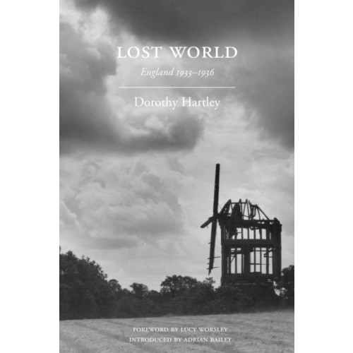 Marion Boyars Publishers Ltd Lost World (häftad, eng)