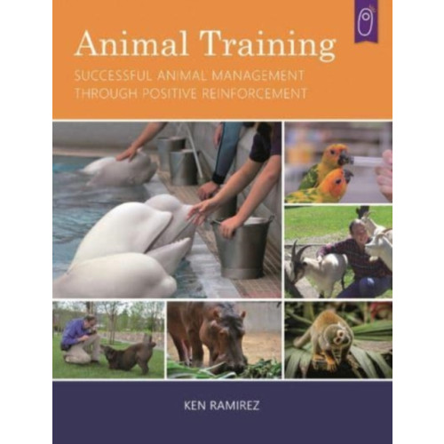 Corpus Publishing Limited Animal Training (häftad, eng)