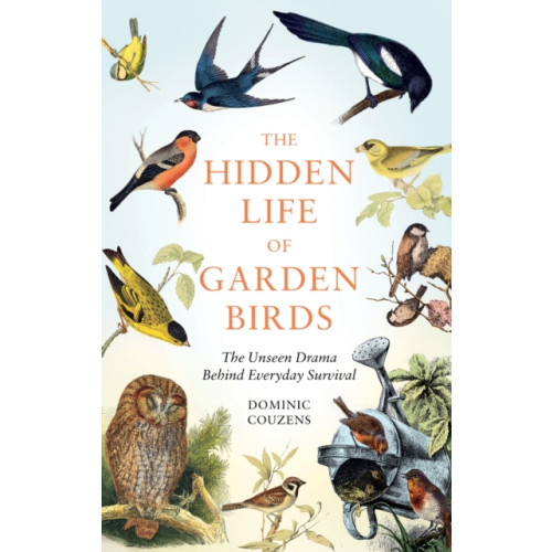 Octopus publishing group The Hidden Life of Garden Birds (inbunden, eng)