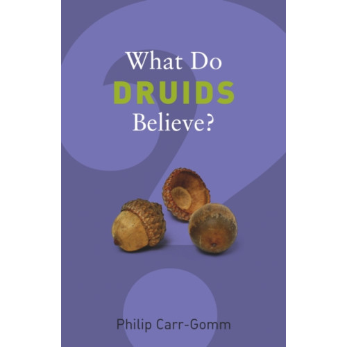 Granta Books What Do Druids Believe? (häftad, eng)