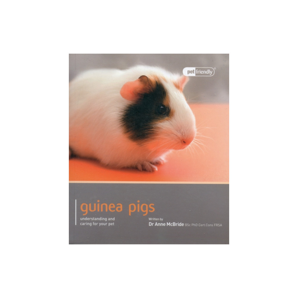 Produktbild för Guinea Pig - Pet Friendly (häftad, eng)