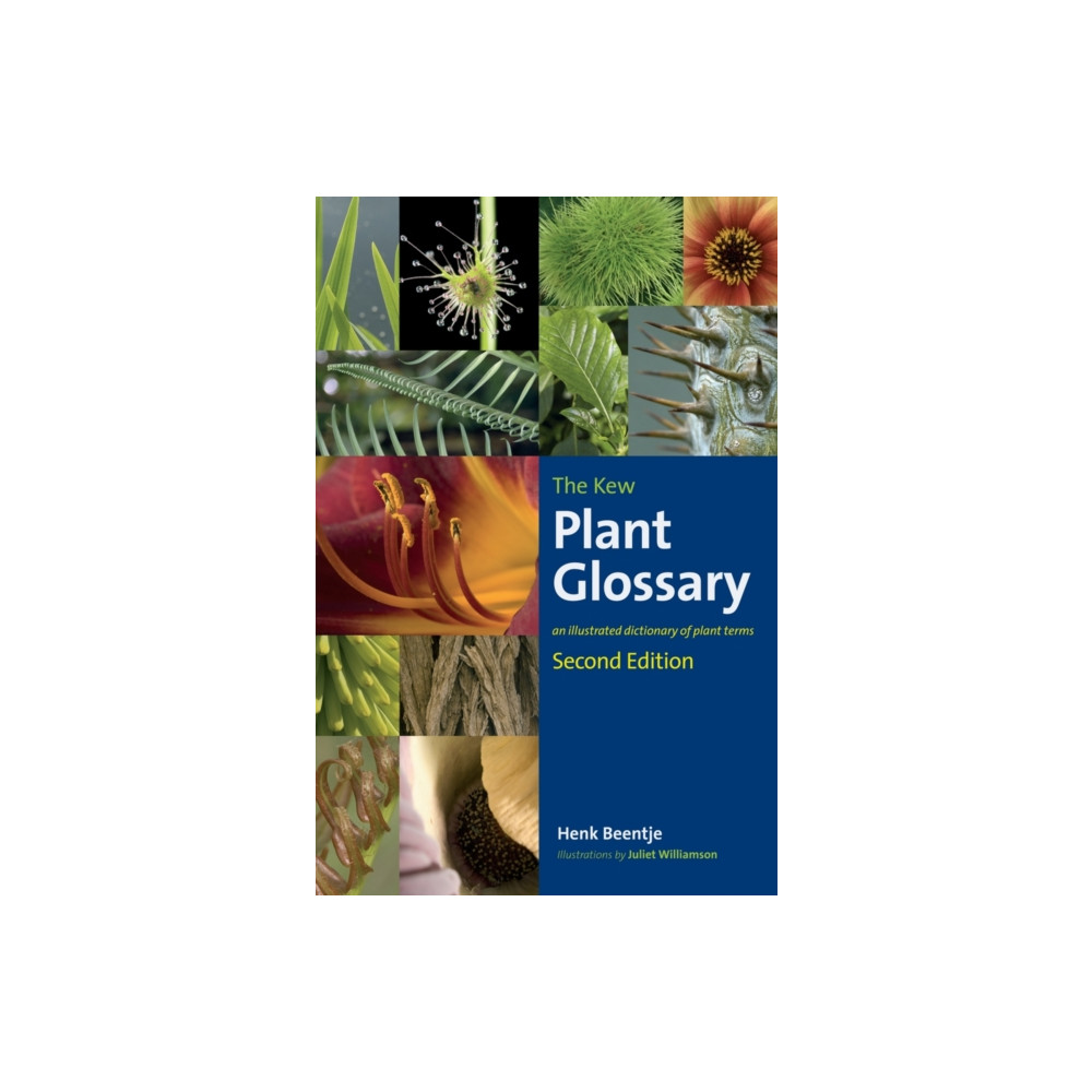 Produktbild för Kew Plant Glossary, The (häftad, eng)