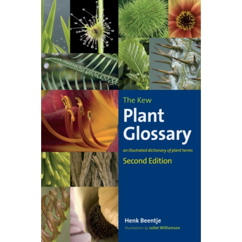 Royal Botanic Gardens Kew Plant Glossary, The (häftad, eng)