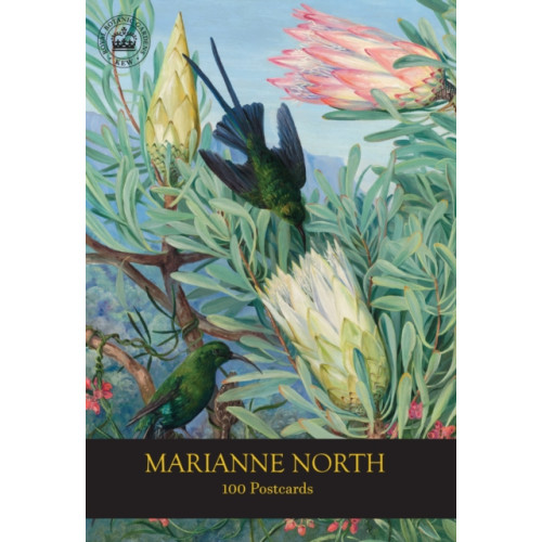 Royal Botanic Gardens Marianne North 100 Postcards