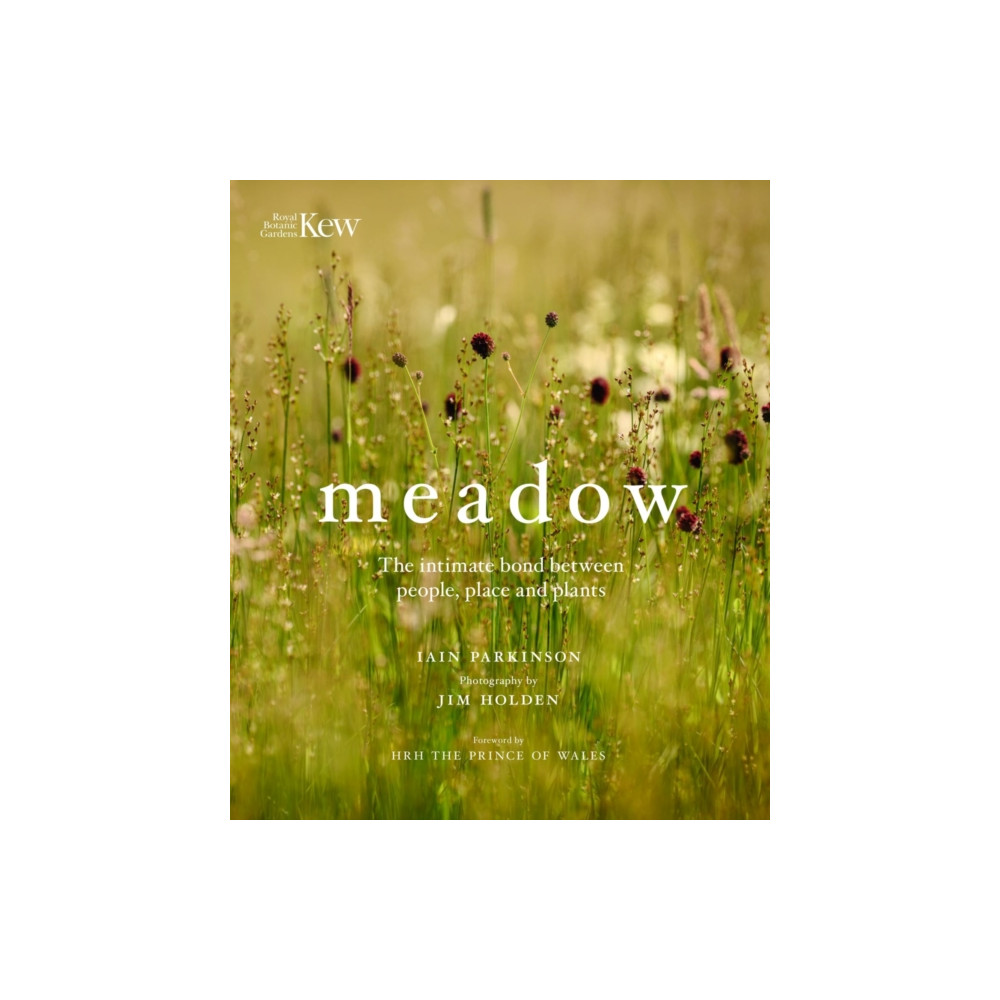 Produktbild för Meadow (inbunden, eng)