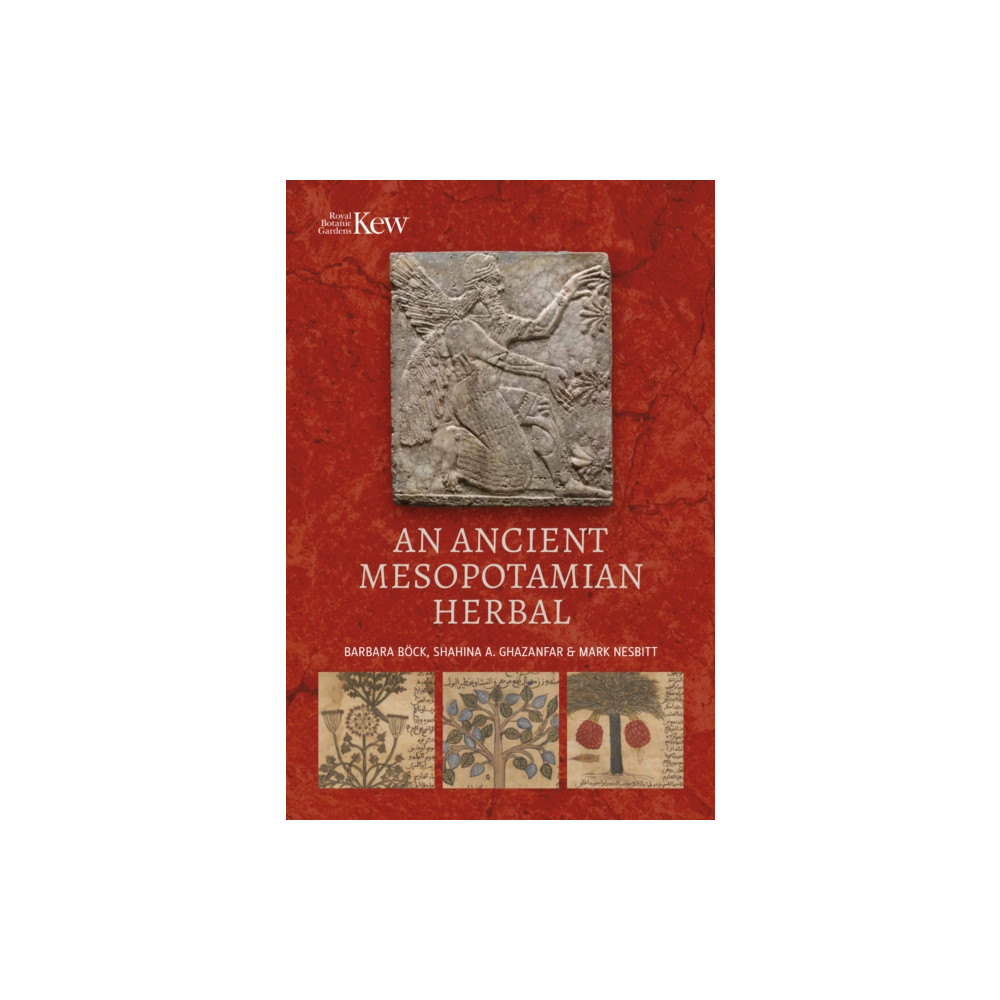 Produktbild för An Ancient Mesopotamian Herbal (inbunden, eng)