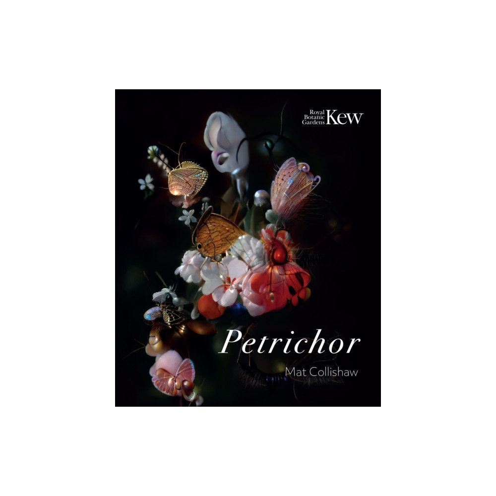 Produktbild för Petrichor (häftad, eng)