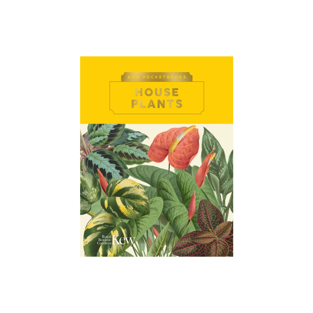 Produktbild för Kew Pocketbooks: House Plants (inbunden, eng)