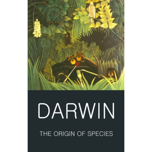 Wordsworth Editions Ltd The Origin of Species (häftad, eng)