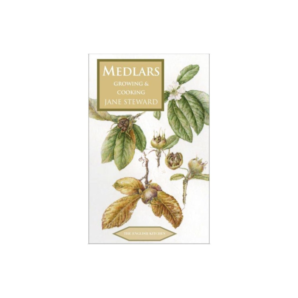 Produktbild för Medlars (häftad, eng)