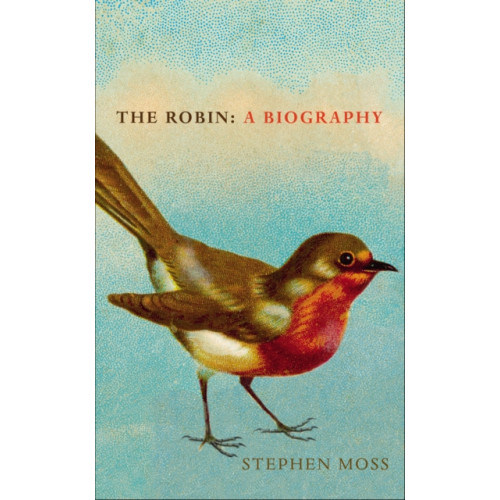 Vintage Publishing The Robin (inbunden, eng)