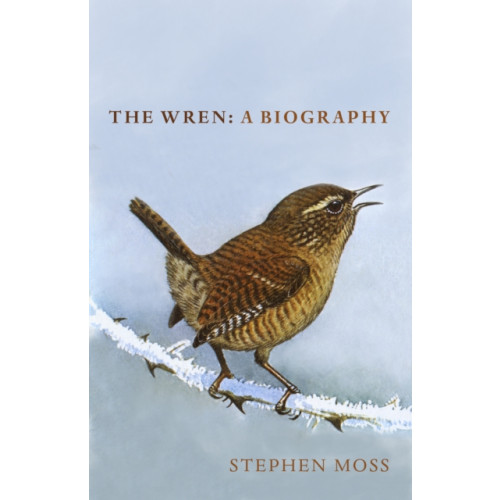 Vintage Publishing The Wren (inbunden, eng)